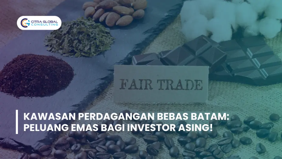 Kawasan Perdagangan Bebas Batam: Peluang Emas Bagi Investor Asing!